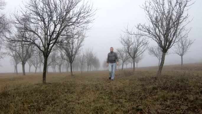 深秋时，成年农民在光秃秃的果园里被雾覆盖