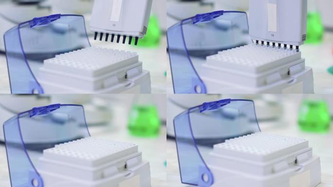 实验室工作人员将样品放入托盘中，在医学实验室中分析免疫病毒