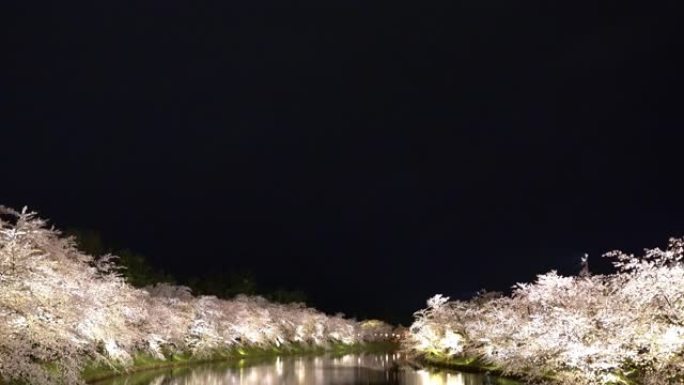 弘前公园樱花在夜晚点亮