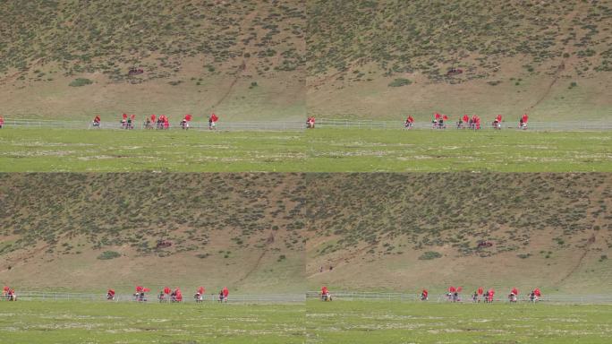 甘南草原 藏族赛马比赛活动 赛马 赛事