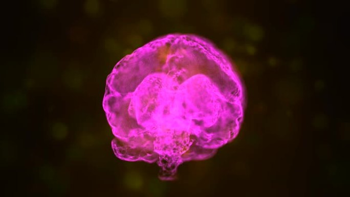 神奇设计的粉红色人脑漂浮在散景粒子的空间中。
