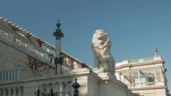 狮子旧建筑雕像雄狮怒吼白宫
