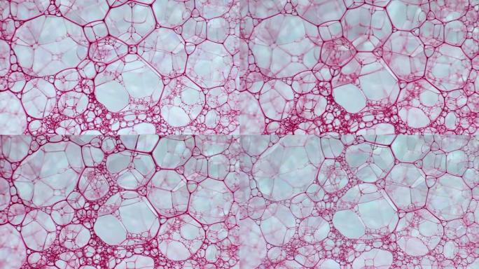 彩色肥皂泡沫与爆裂气泡背景。摘要生物结构，大分子模式。红色墨水填充了大量在液体中形成的白色小气泡。自