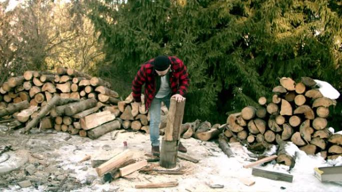 残酷的伐木工人在冬季森林中砍柴