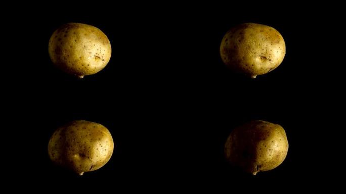 马铃薯旋转360度黑暗背景: 4K