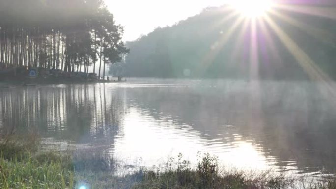 早晨的气氛竹筏游客在泰国亚洲北部的Maehongson省的Pang Ung湖林业种植园上。旅游景点与