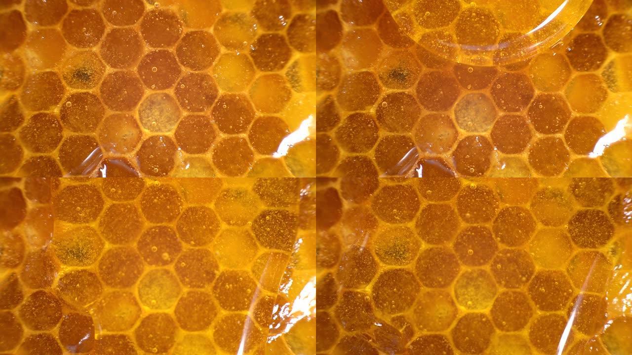 亲爱的特写。蜂巢中的琥珀甜蜜。透明的蜂蜜从蜂窝中流下。