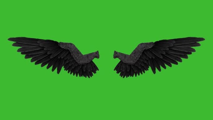 绿色背景上的黑天使翅膀