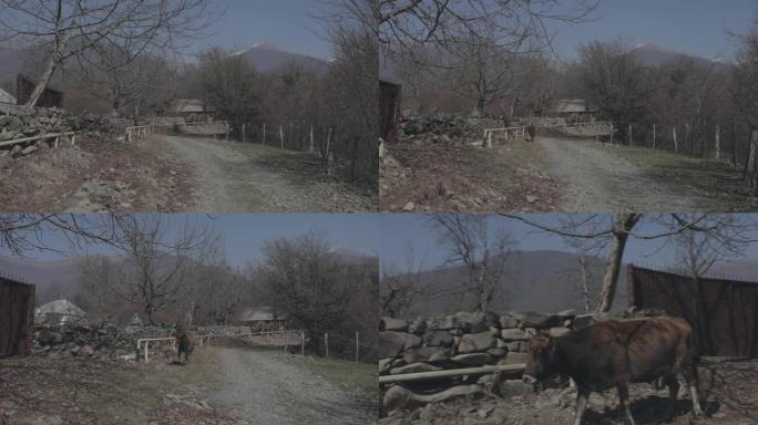 在山村的小路上行走的个人视角，稳定的摄像头拍摄。徒步旅行者走在阿塞拜疆森林中央美丽的村庄上的Pov