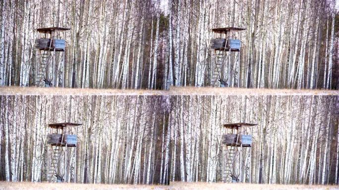 爱沙尼亚森林上的木棚