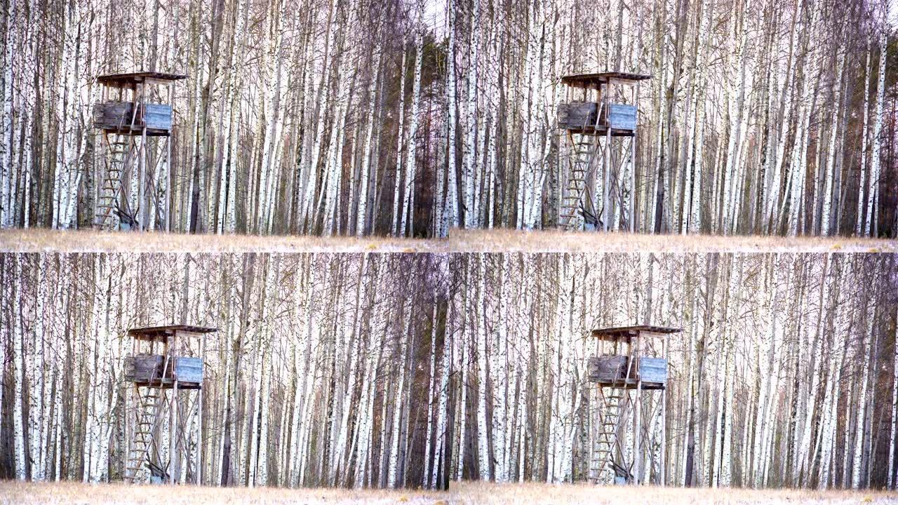 爱沙尼亚森林上的木棚