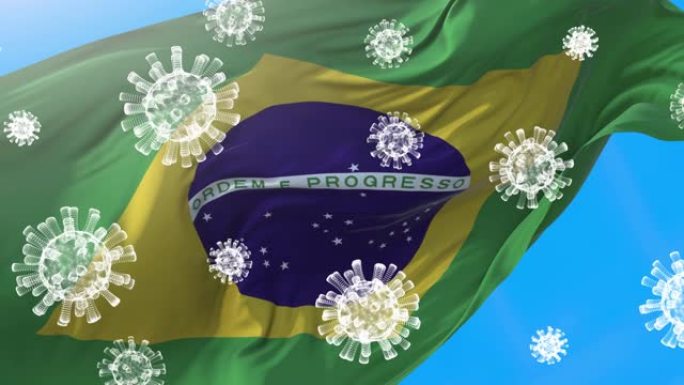 冠状病毒- Covid-19 -巴西-巴西领土