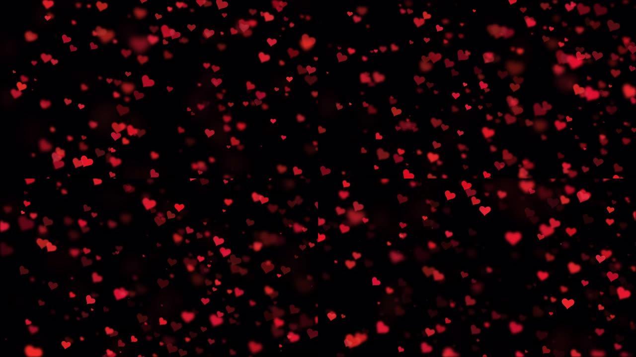 红心粒子情感在黑屏背景上漂浮的散景中褪色。装饰模板元素的图标五彩纸屑和抽象粒子。情人节快乐4k VF