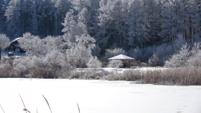 长野县圣高原的雪景。