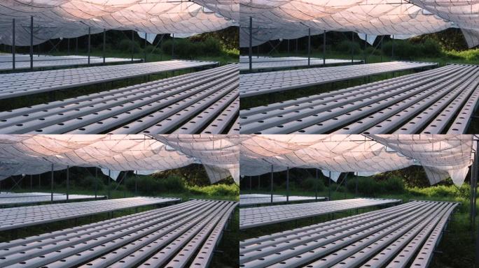 白色播种台屋顶床单，准备种植设置设备，农业常规，播种季节，4k分辨率。农商投资园艺概念无人淡季