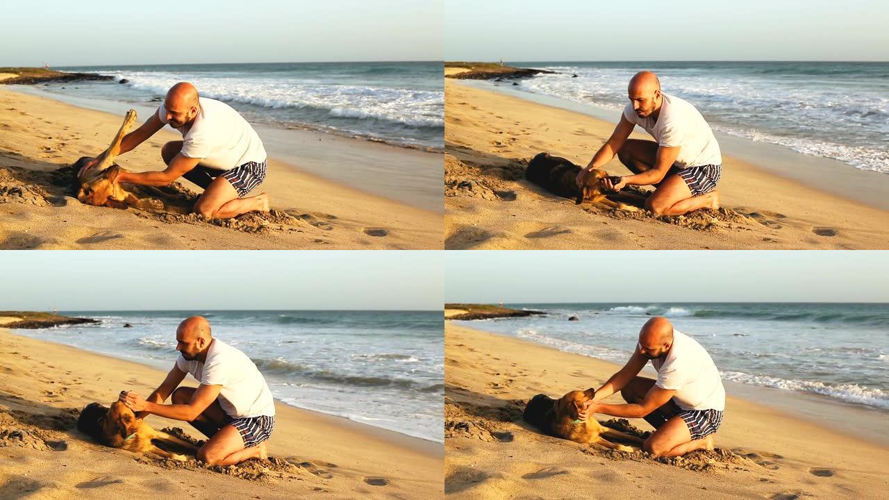 不买领养男人与宠物狗在沙滩玩耍