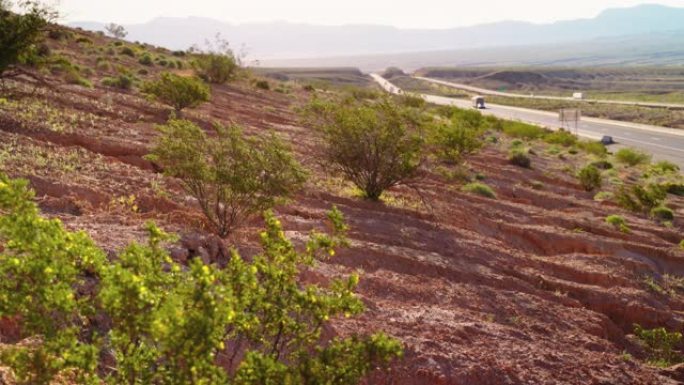 早春，亚利桑那州沙漠中开花的杂酚油灌木靠近高速公路，交通缓慢。焦点从前面慢慢转移到后面。