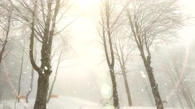冬季景观，降雪，阳光