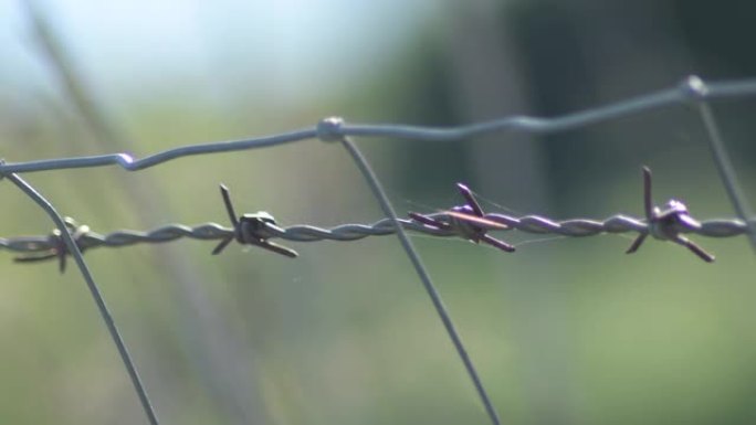 田野里有荆棘的铁丝网