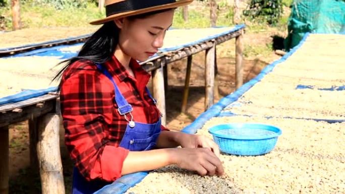 泰国北部清迈一个小镇的农民分拣咖啡
