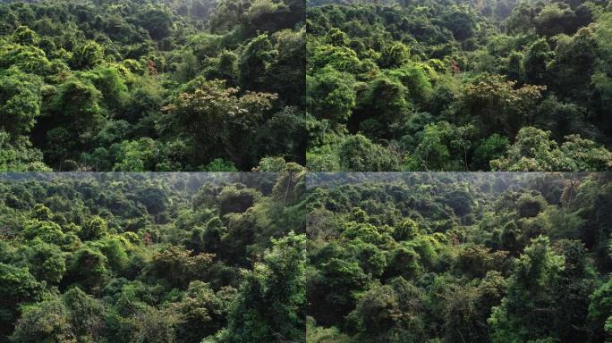热带雨林山脉中瀑布的鸟瞰图