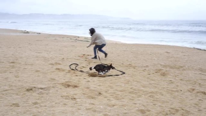 女孩在慢动作中独自在沙滩上与狗玩和玩乐