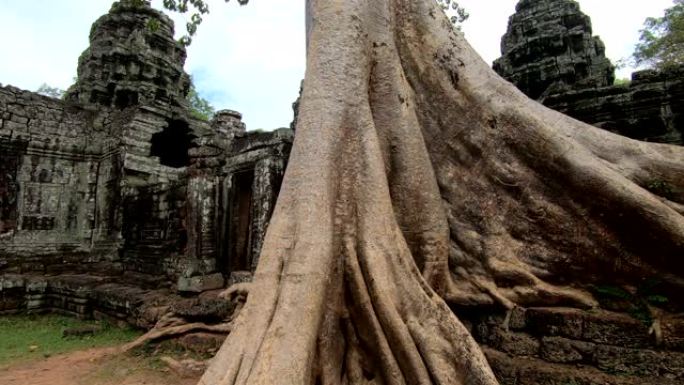 柬埔寨暹粒的Prasat Ta prohm寺