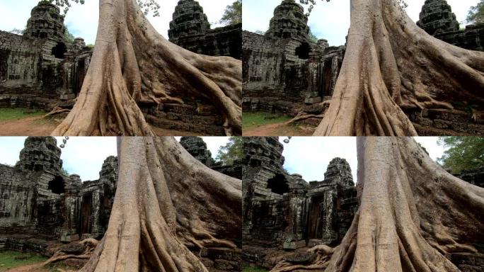 柬埔寨暹粒的Prasat Ta prohm寺
