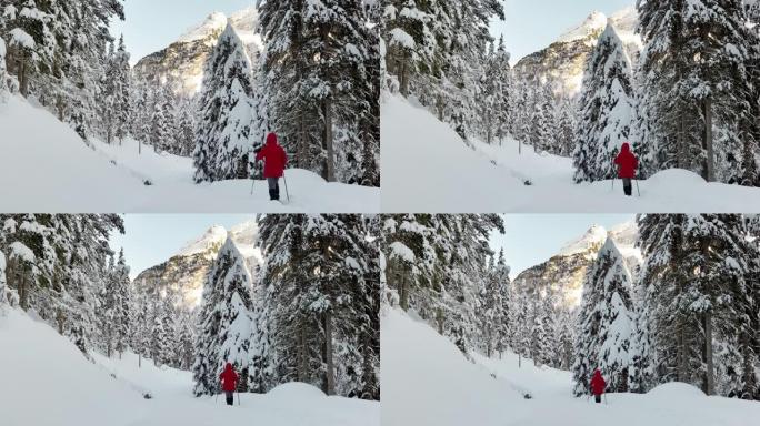 在高山冬季森林中，单身女子雪鞋行走