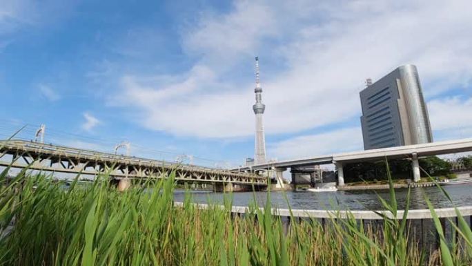 从日本东京浅草区观看的东京天空树和隅田河。