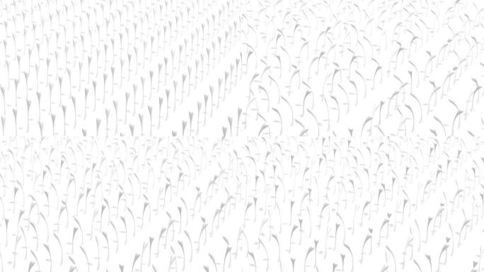 白色背景上生命元素的抽象纹理。3d动画