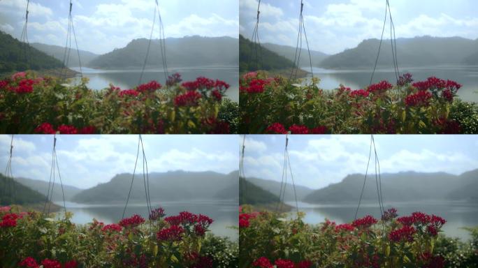 坝脊上各种五颜六色的花。