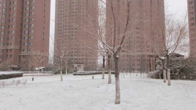 住宅区的雪雪景