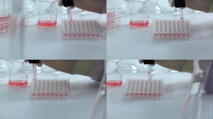 科学家在实验室测试DNA生物化学。医疗保健概念。