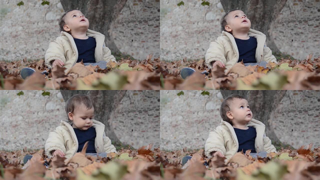 可爱的宝贝看着从树上掉下来的棕色干燥的叶子。
