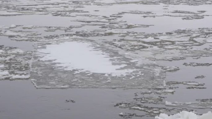 大块的冰漂浮在一条非常大的河上