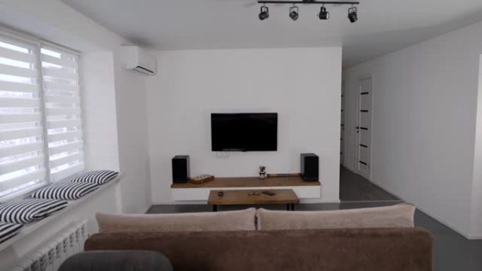 现代公寓中宽敞明亮的客厅。斯堪的纳维亚风格的简约住宅。室内设计