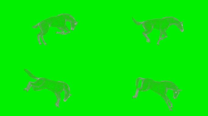 线框3d踢马，无缝循环，绿屏Chromakey
