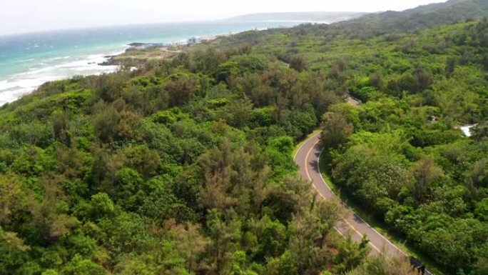 美丽的绿色森林和海岸的道路鸟瞰图