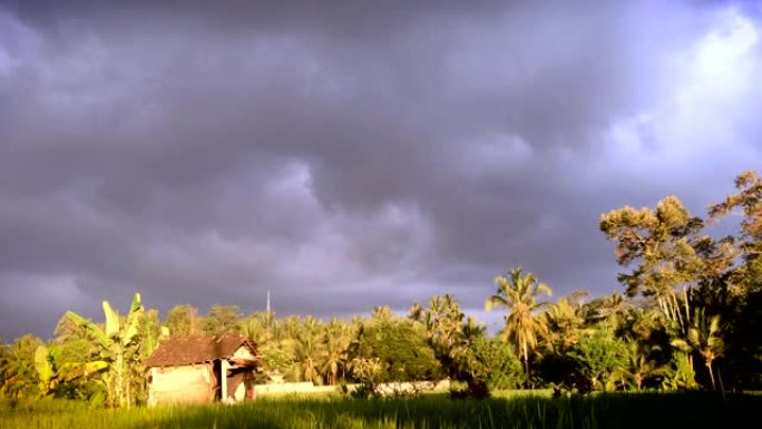 巴厘岛乌布的丛林小屋和稻田上方是不祥的天空
