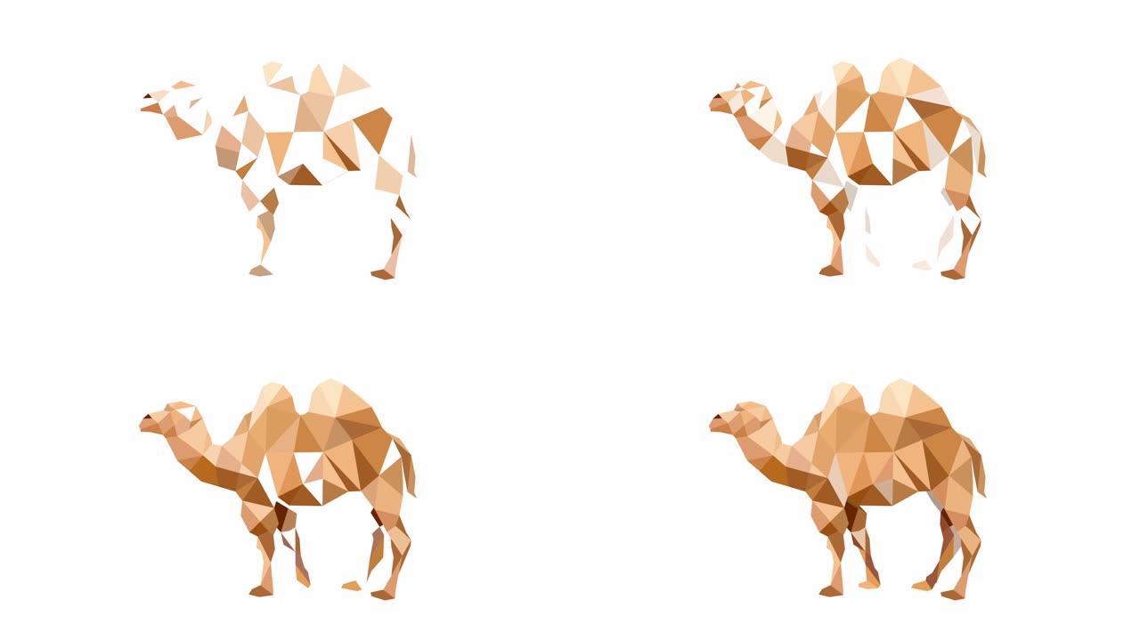 骆驼的多边形艺术。白色背景上的动画。