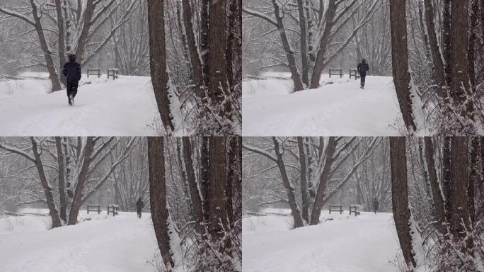 男子冬季跑雪树绳索路径丹佛科罗拉多州