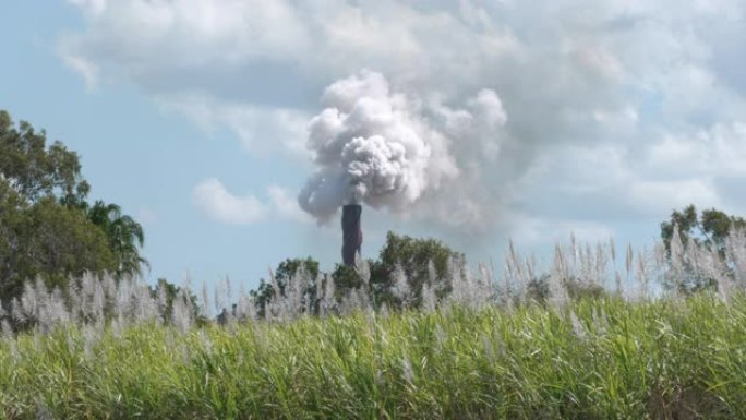 背景中的生物燃料和糖精炼厂的蒸汽和烟雾烟囱。前景中的甘蔗田。可持续生物燃料和有机食品概念。