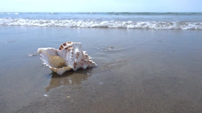 海浪和海浪慢动作海边海水海滩沙滩