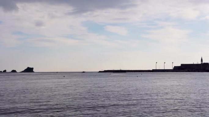 一群鸟儿围着渔船大海海洋捕鱼渔业出海航行