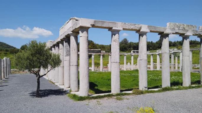 希腊伯罗奔尼撒伯罗奔尼撒的墨西拿，靠近卡拉马塔的古墨西尼考古遗址，帕拉斯特拉遗址(摔跤厅)