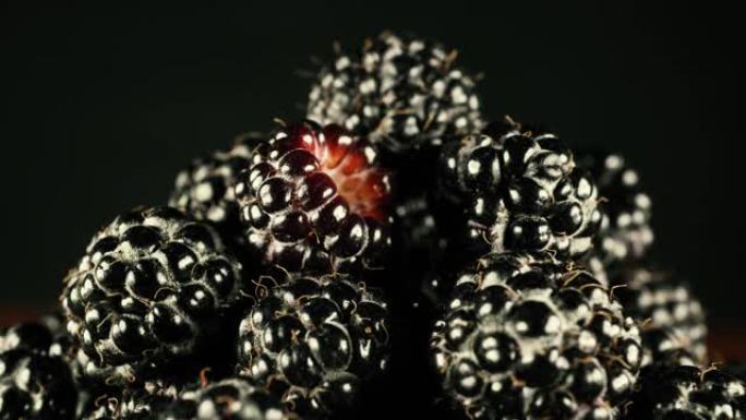 新鲜的黑色浆果关闭，宏观。在黑暗的背景下。美味的天然维生素。