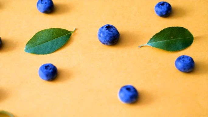 粉红色背景上的蓝莓和绿叶。电影蓝莓4k视频。成熟多汁的新鲜采摘越橘特写。顶视图