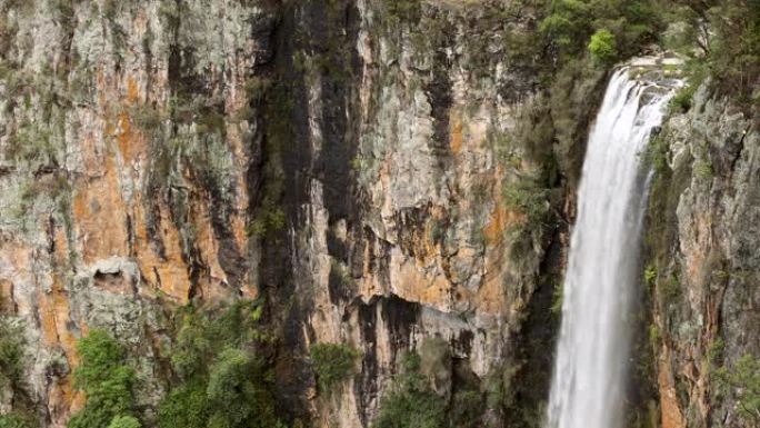 大瀑布在澳大利亚雨林的悬崖面上溢出