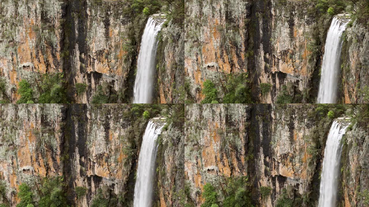 大瀑布在澳大利亚雨林的悬崖面上溢出